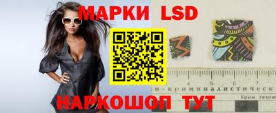 PSILOCYBIN Урус-Мартан